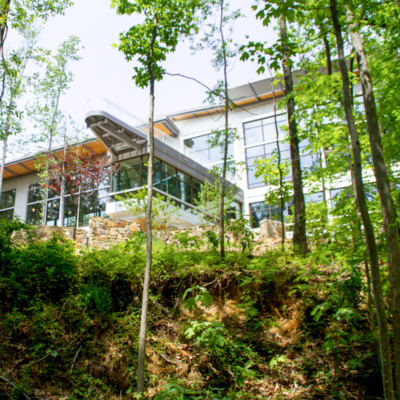 treehouse, library in the forest, leed, LEED, certified, green building